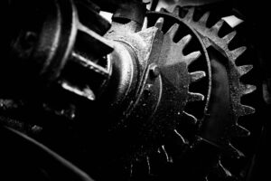 Neuroplasticity and Mental Wellness